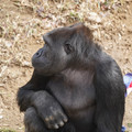 DSC01697.JPG