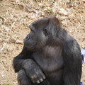 DSC01698.JPG