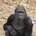 DSC01700.JPG
