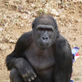 DSC01701.JPG