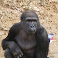 DSC01702.JPG