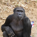 DSC01703.JPG
