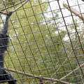 DSC01704.JPG