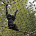 DSC01705.JPG