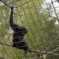 DSC01706.JPG