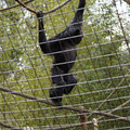 DSC01707.JPG