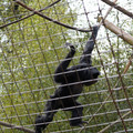 DSC01708.JPG