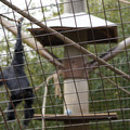 DSC01709.JPG