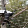 DSC01710.JPG