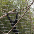 DSC01711.JPG