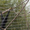 DSC01712.JPG