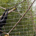 DSC01713.JPG