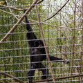 DSC01714.JPG