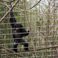 DSC01715.JPG