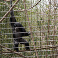 DSC01716.JPG