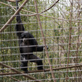 DSC01717.JPG