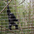 DSC01718.JPG