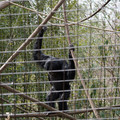 DSC01719.JPG
