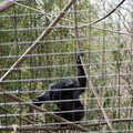DSC01720.JPG