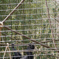 DSC01721.JPG