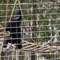 DSC01722.JPG
