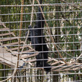 DSC01725.JPG