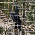DSC01726.JPG