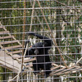 DSC01727.JPG