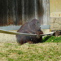DSC01728.JPG
