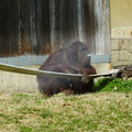 DSC01729.JPG