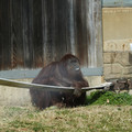 DSC01730.JPG