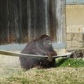 DSC01731.JPG