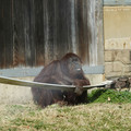DSC01732.JPG