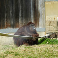 DSC01733.JPG