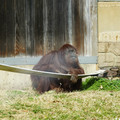 DSC01734.JPG