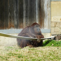 DSC01735.JPG