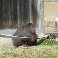 DSC01736.JPG