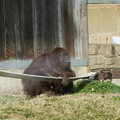 DSC01737.JPG