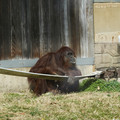 DSC01738.JPG