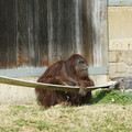 DSC01740.JPG