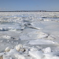 IMG-20260207-WA0002.jpg