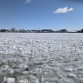 PXL_20260207_161041659.RAW-01.COVER.jpg