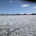 PXL_20260207_161046531.RAW-01.COVER.jpg