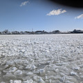 PXL_20260207_161050038.RAW-01.COVER.jpg