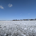 PXL_20260207_161107179.RAW-01.COVER.jpg