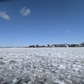 PXL_20260207_161110913.RAW-01.COVER.jpg