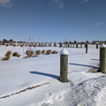 PXL_20260207_161204211.RAW-01.COVER.jpg