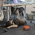 PXL_20260212_203241043.RAW-01.COVER.jpg