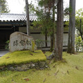 DSC01747.JPG