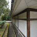 DSC01750.JPG